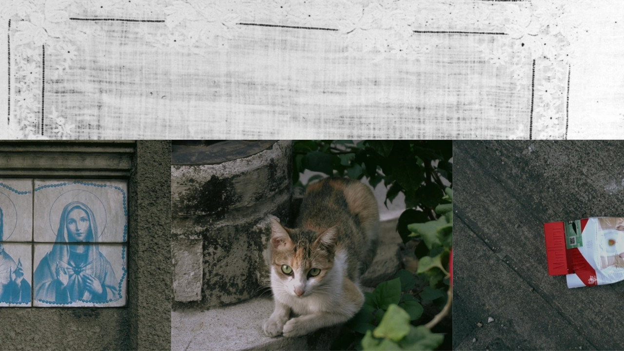 Culishov