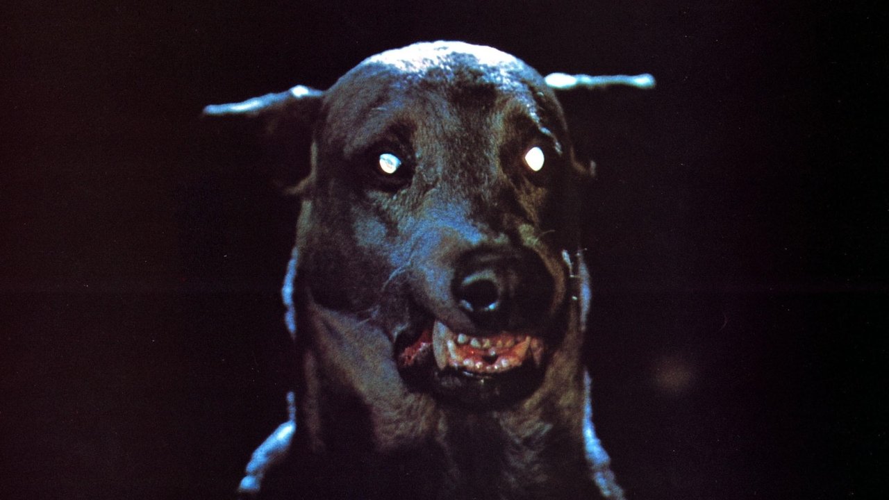Zoltan… Hound of Dracula