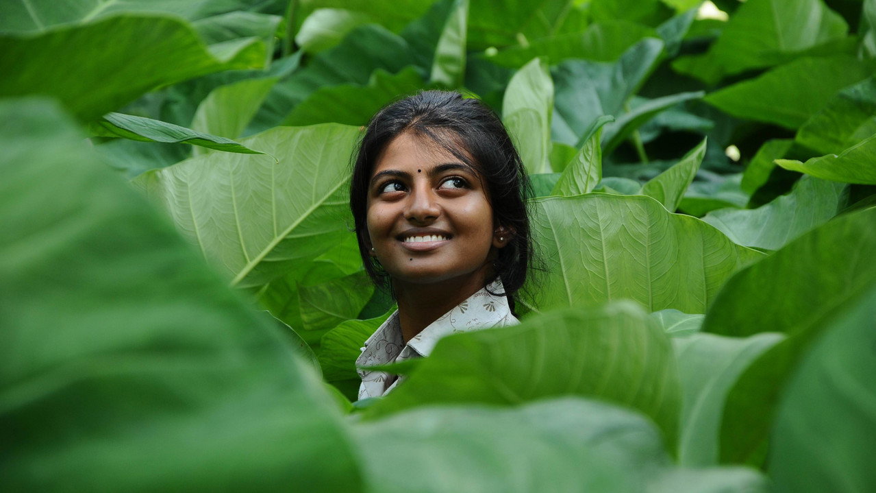 கயல்