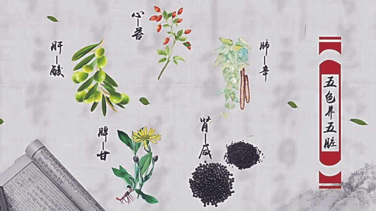 本草传