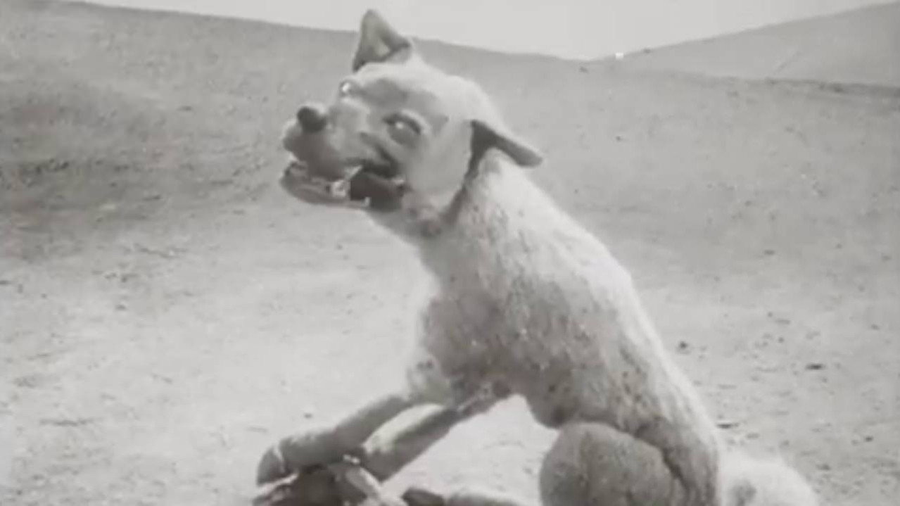 The Wolf and the Crane