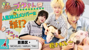 [Meguro City] Exciting Time with a Piglet🐷