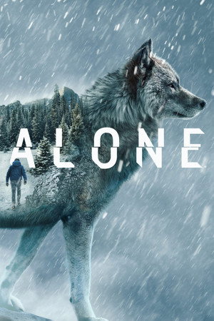 Saison 11