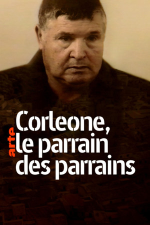 Minisérie