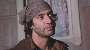 The Gypsies