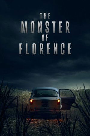 Limited Series