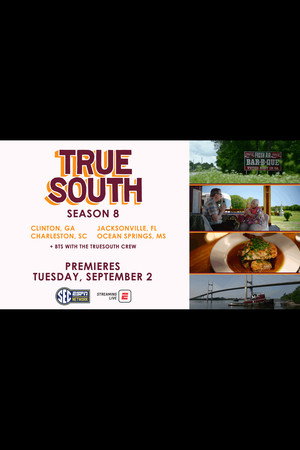 Saison 8