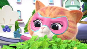 Épisode 11