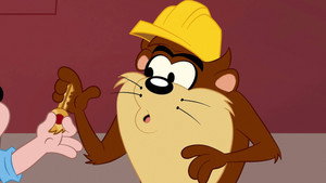 Taz recycle