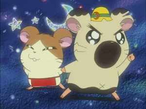 Hamtaro le Hamelien