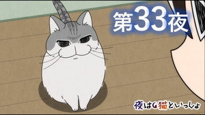 Épisode 33