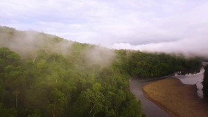 Palmarès