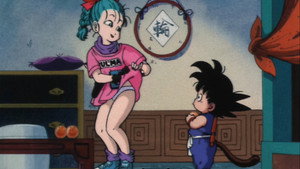 The Secret of the Dragon Balls