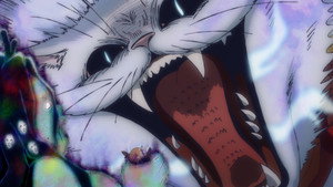 Épisode 11