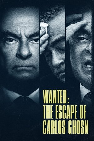 Miniseries