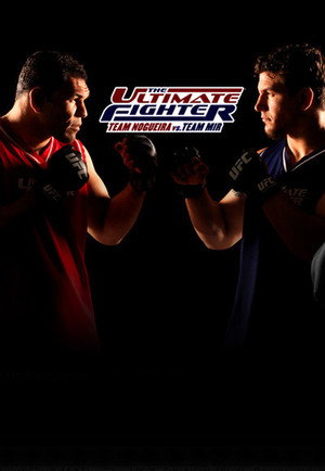 Team Nogueira vs. Team Mir