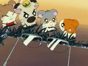 À la recherche des lunettes de Papa