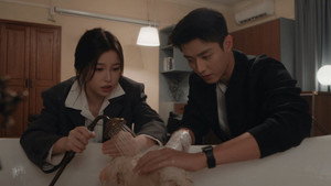 Épisode 20