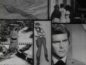La Nuit de la mort subite
