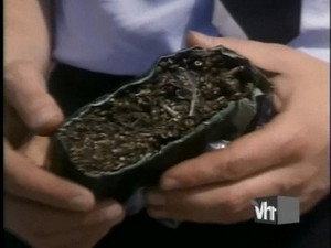 Épisode 3