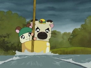 Courage, Chapo !