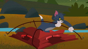 Tom fait du camping