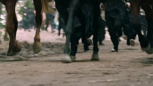 Épisode 23