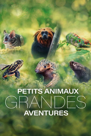Saison 1