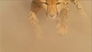 Une force exceptionnelle