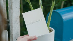 Épisode 7