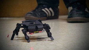 Rise of the Machines