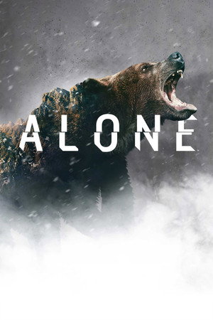 Saison 8