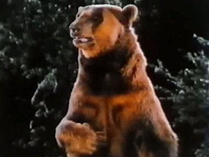 La légende de l'ours de bronze