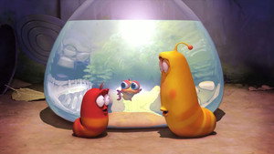Épisode 12