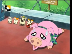 Le nouveau Ham-Ham Park