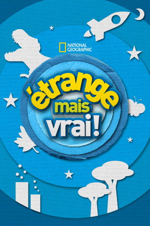 Saison 2