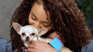 Do Dogs Really Love Us?