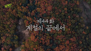 Épisode 44