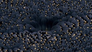Penguins