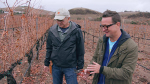 Un cottage dans le vignoble de Paso Robles