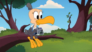 Buzzard, vous avez dit Buzzard ?