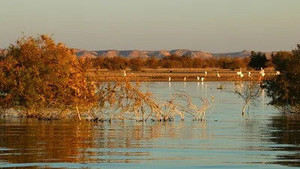 Lake Nasser