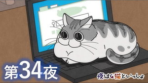 Épisode 34