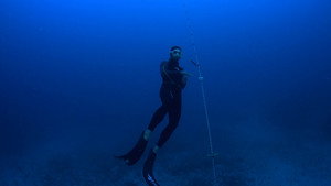 Red Sea