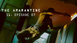 Épisode 7
