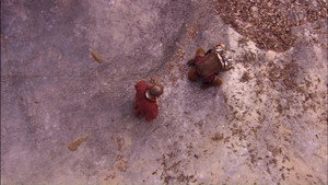 Épisode 16