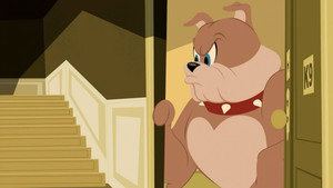 Tom et Jerry tombent sur un os