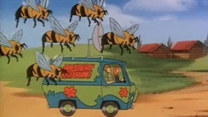 The Bee Team