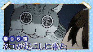 Épisode 95