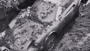 The Case of the Buried Dino
